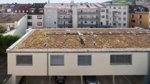 Fotos Gebäude und Baustellen Fa. Höhn